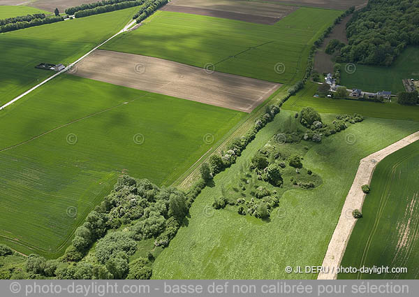 agriculture - Hesbaye